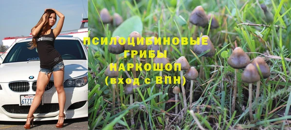 трава Балабаново